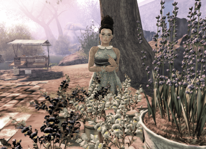 Wherever Life Plants You, Bloom With&nbsp;Grace