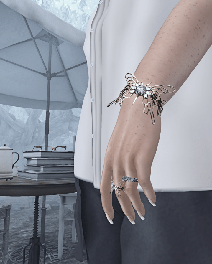 Snapshot_005