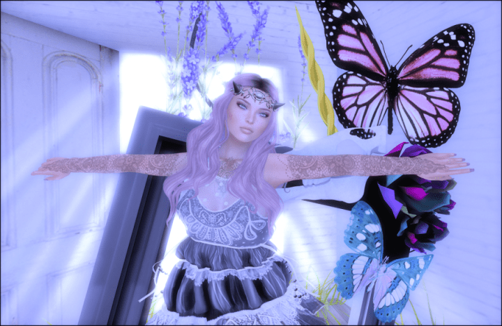 Butterflies in my Tummy