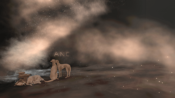 mainstore monday anc_001