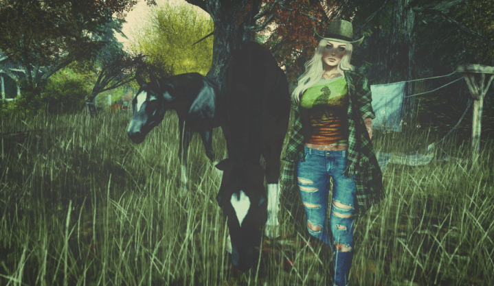 Go Wild in the&nbsp;Country