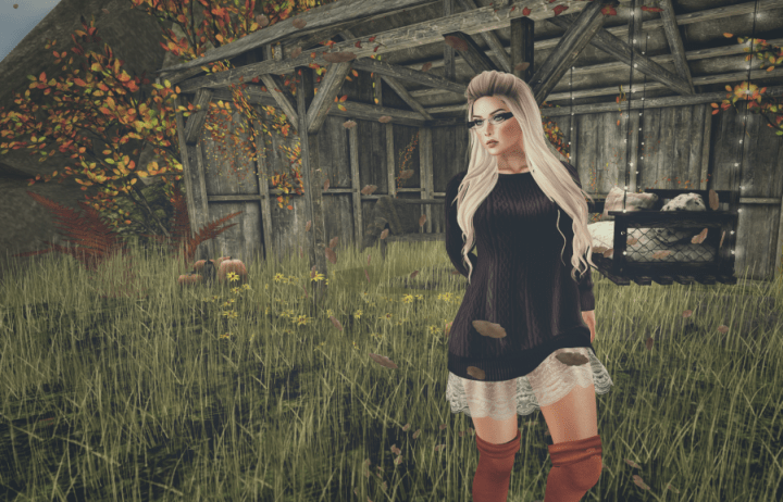 Snapshot_005