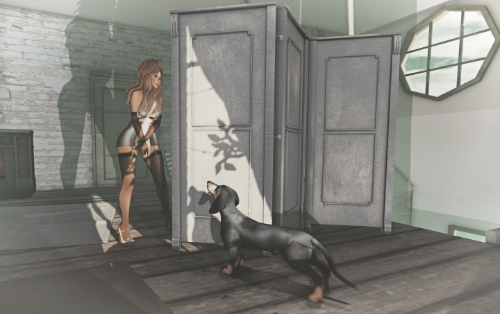 Waiting for the Show to&nbsp;Begin