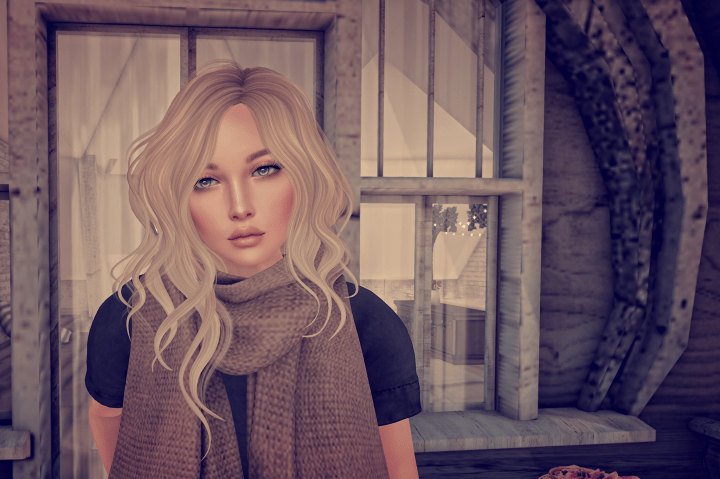 Snapshot_006