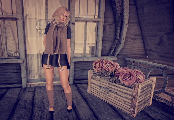 Snapshot_008