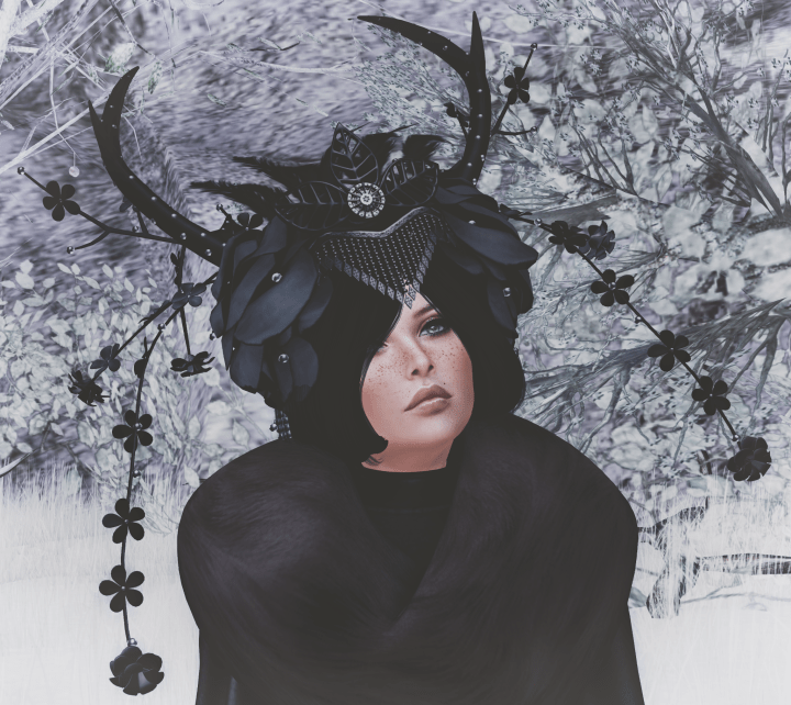 Snapshot_010