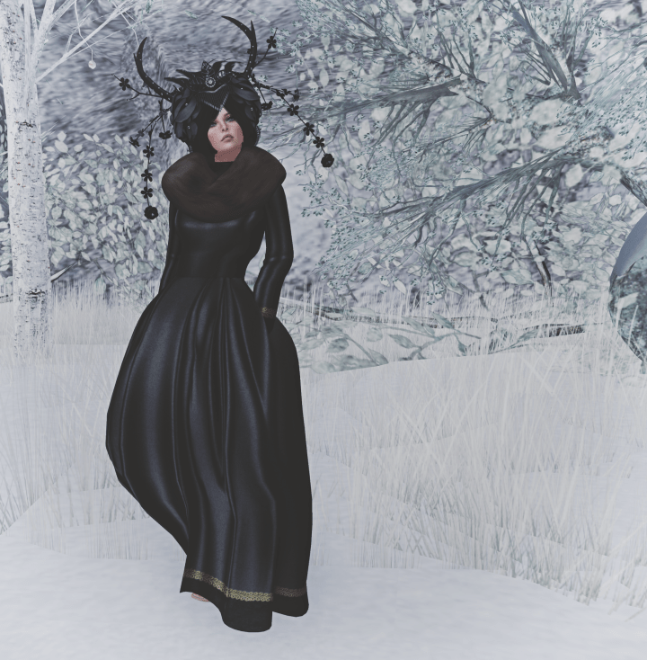 Snapshot_011