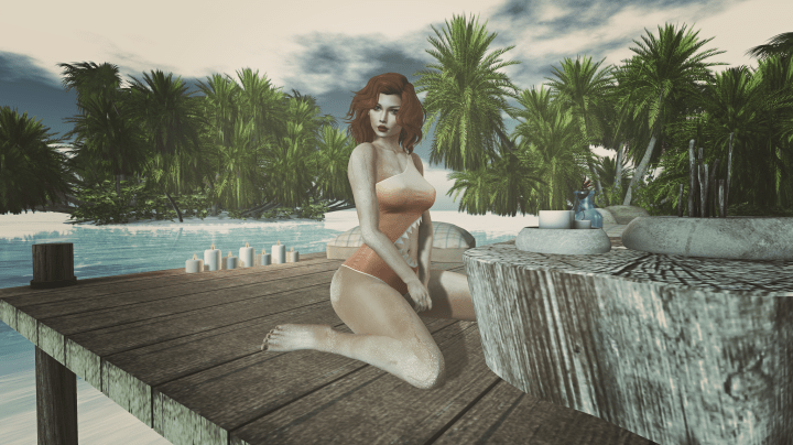 Snapshot_005