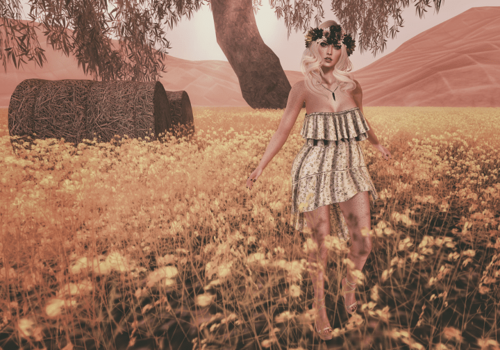 As We Walk in Fields of&nbsp;Gold