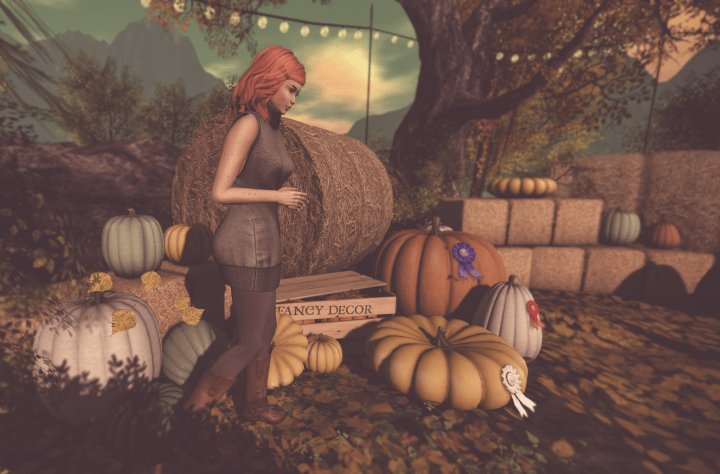 The Pumpkin Patch is&nbsp;back