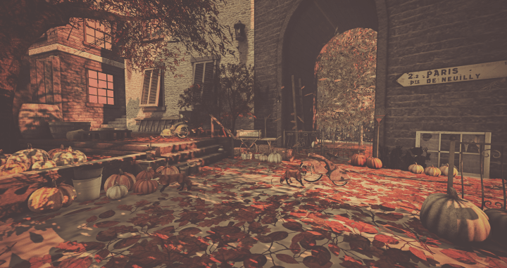 fameshed-autumn_001-edit