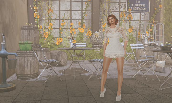 dd-wp-reign_001-edit