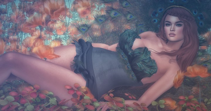 Your vibe attracts your&nbsp;tribe