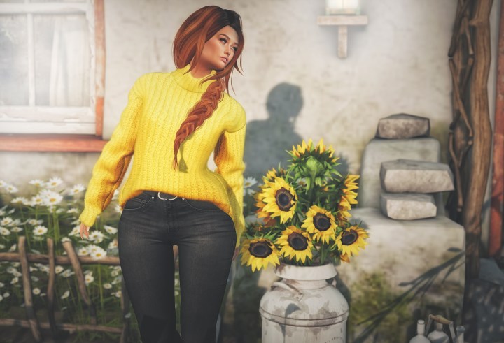 Warmth of a Winter&nbsp;Sun