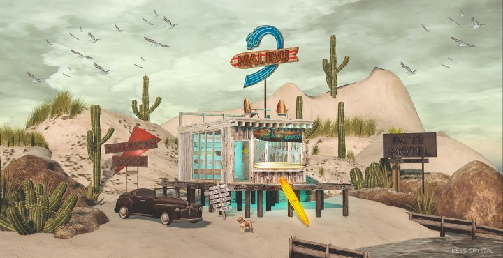 Everybody’s gone surfin’