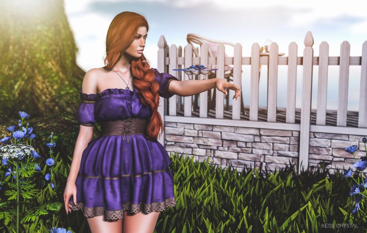 Find a Bluebird of&nbsp;Happiness