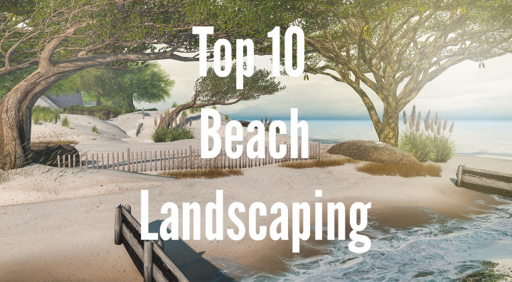 Top 10 Beach Landscaping Items
