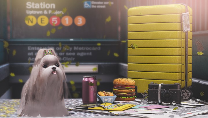 These Streets Will Make You Feel Brand&nbsp;New